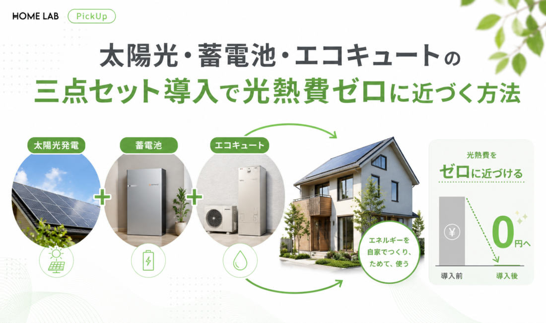 ピックアップ画像